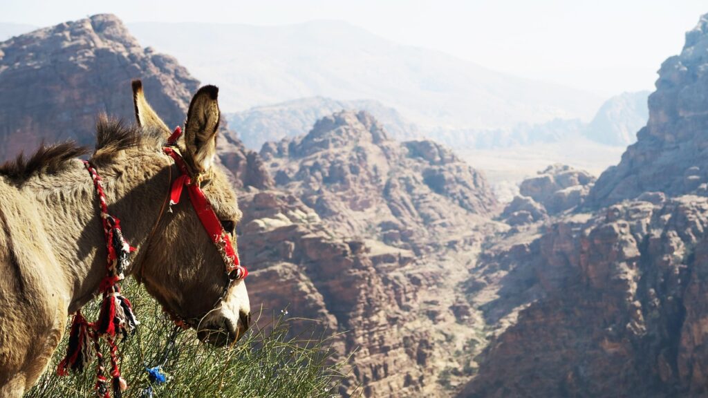 九州のご当地グルメでおすすめの料理は？