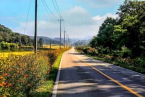 九州で締めにぴったりなデザートはどこ行く？