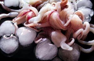 佐賀の呼子で楽しむイカスポットはどこ？