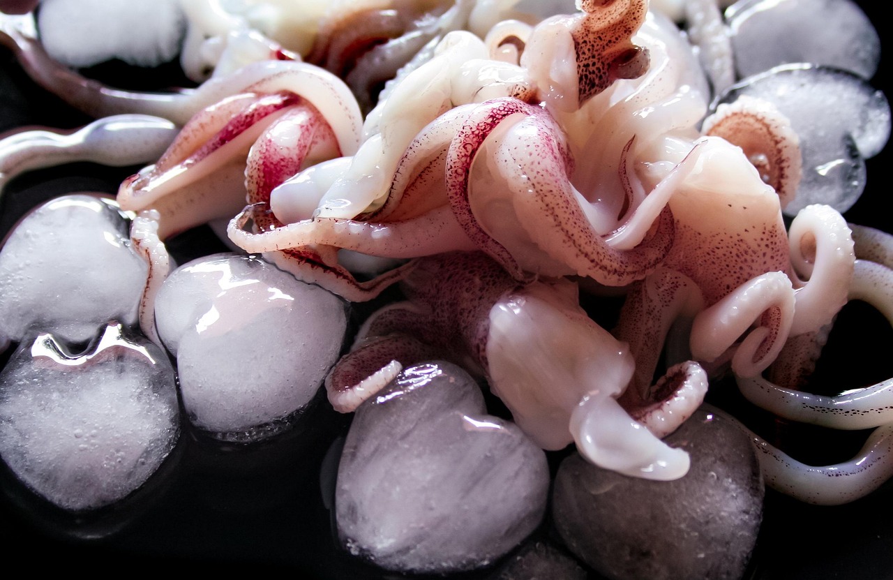 佐賀の呼子で楽しむイカスポットはどこ？