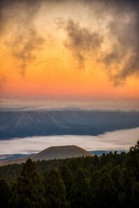 熊本の本場で味わう辛子蓮根の魅力とは？