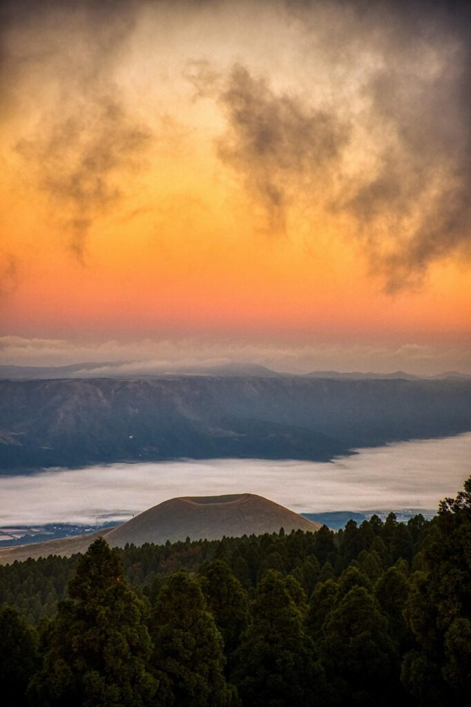 熊本の本場で味わう辛子蓮根の魅力とは？