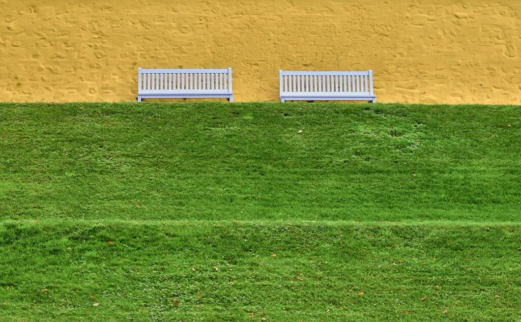 九州のテラスでペット同伴可能なカフェはどこ？