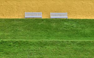 九州のテラスでペット同伴可能なカフェはどこ？