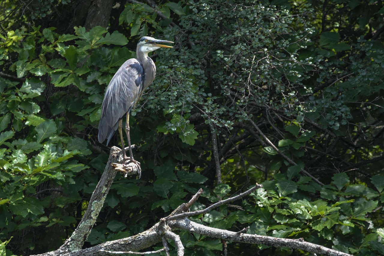 九州のファミリー向けキッズメニューはどこで楽しめる？