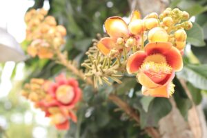 九州の高速SAで買うべき名物は何ですか？