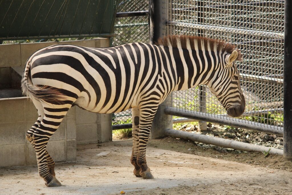 福岡で絶対に試すべきもつ鍋のおすすめは？
