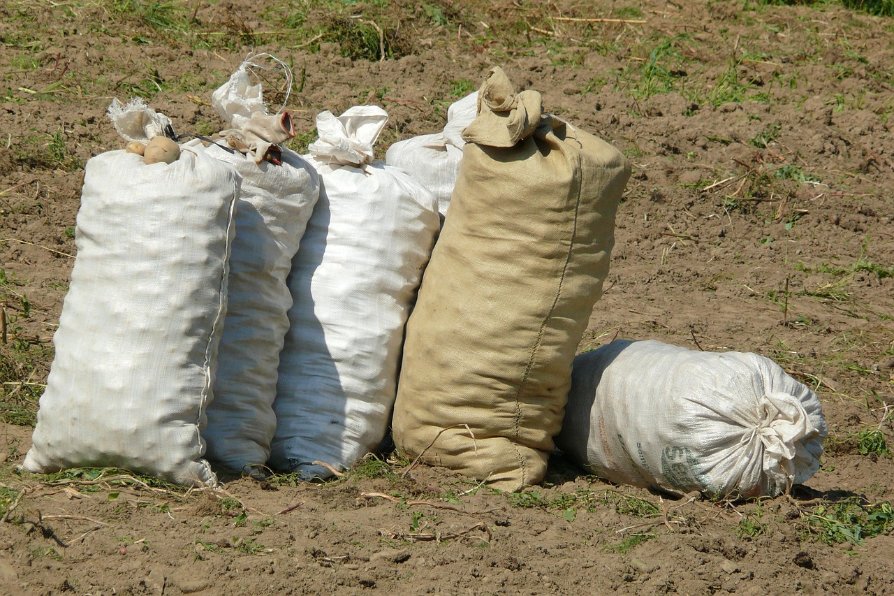 鹿児島の地酒で楽しむ芋焼酎の飲み比べはどこがおすすめ？