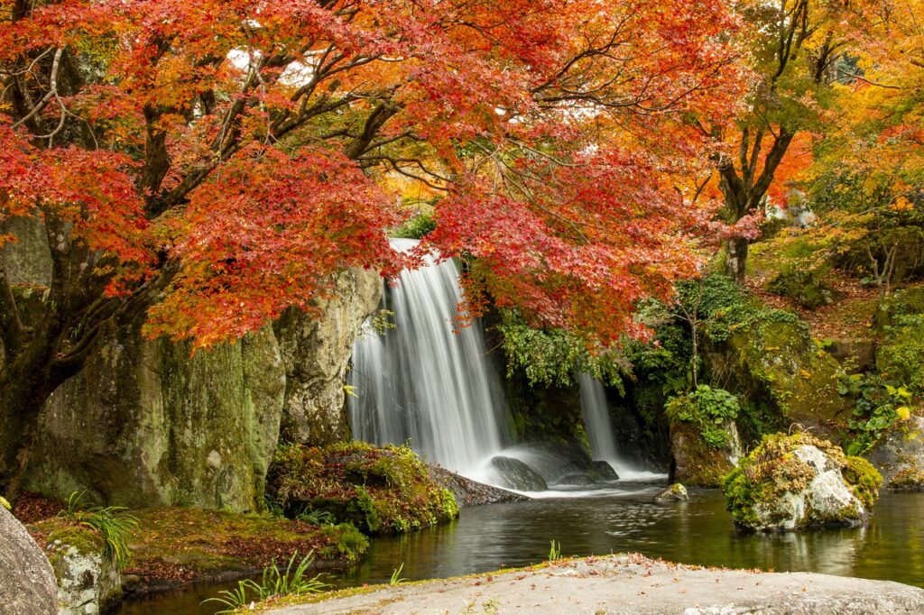 大分臼杵のふぐコースの相場はどのくらい？