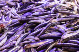 長崎の魚市場直営食堂の営業はいつからいつまでですか？