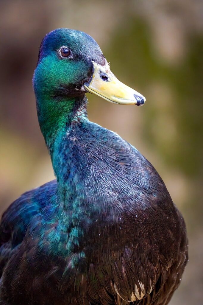 長崎で楽しむ昼飲みと日本酒のペアリングに最適な料理は？