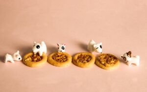 宮崎でスイーツ食べ歩きのおすすめはどこ？