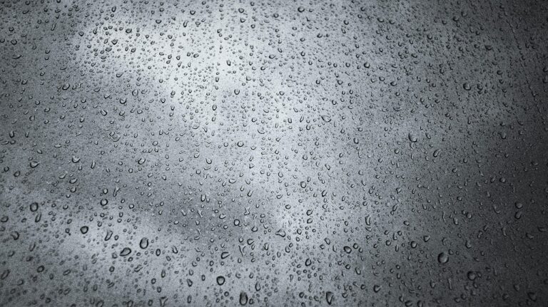 熊本で雨の日に楽しむ食べ歩きスポットはどこ？