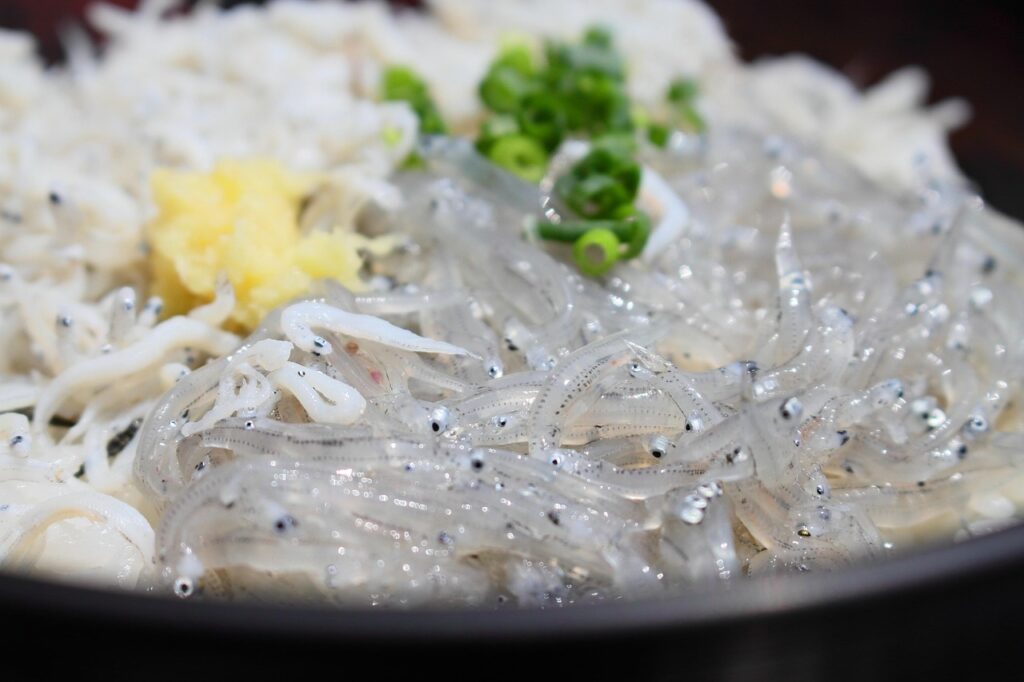 佐賀でコスパ良い海鮮丼のお店はどこ？