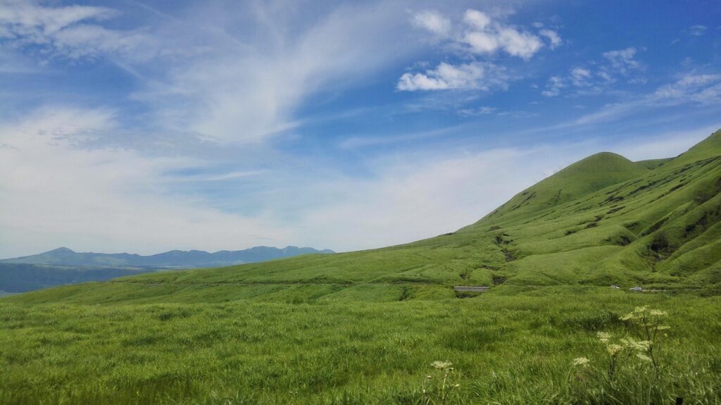 福岡のグルメ相場はどれくらい？あなたの食事予算に合った選び方を解説！